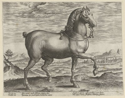 Étalon d