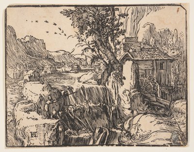 Paysage avec cascade - Hendrick Goltzius