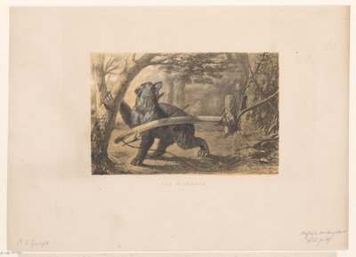 Ours dans un piège - Hendrik Adriaan Christiaan Dekker