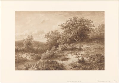 Paysage avec ruisseau et buissons - Hendrik Dirk Kruseman van Elten