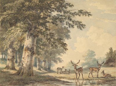 Cerfs sous les hêtres en hiver - Hendrik Gerrit ten Cate