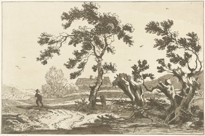 Arbres le long d