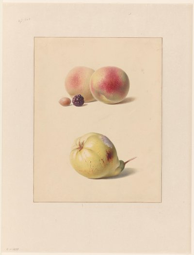 Pêche, mûre et noisette et une poire - Hendrik Reekers