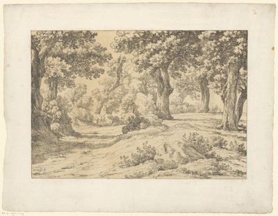 Vue de forêt - Hendrik Voogd