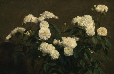 Nature morte de roses blanches - Henri Fantin Latour