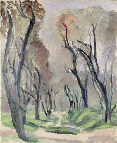 Avenue des oliviers - Henri Matisse