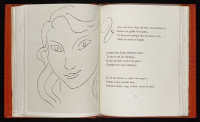 Fleurs du mal - Henri Matisse