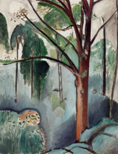 Arbres au lac de Trivaux - Henri Matisse
