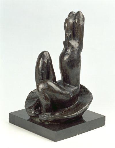 Vénus dans une coquille I - Henri Matisse