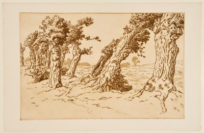 Knotige Baumstämme - Henri Rivière