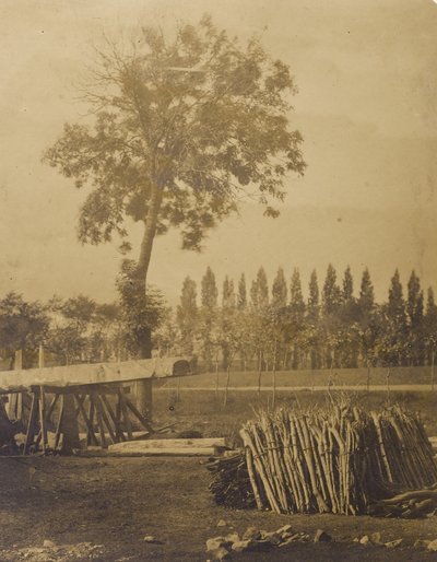 [Paysage avec des balles de branches d