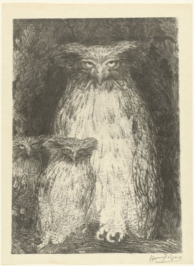 Chouette avec deux chouettes assises sur une branche (Étude de trois chouettes, L