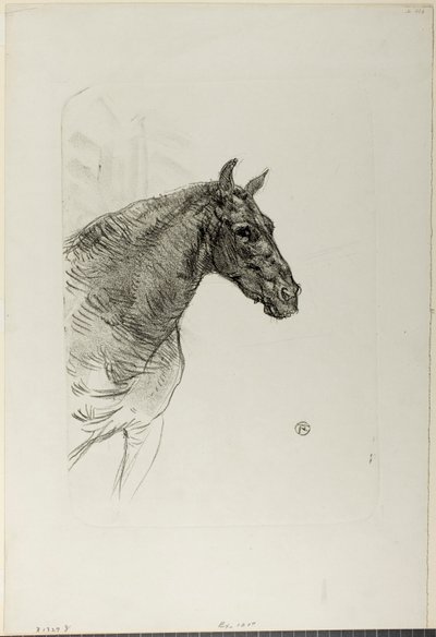 Philibert le poney - Henri de Toulouse-Lautrec