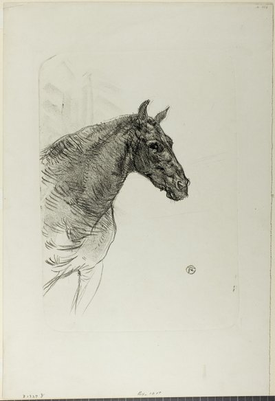 Philibert le poney - Henri de Toulouse Lautrec