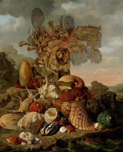 Coquillages et plantes marines - Henricus Franciscus Wiertz