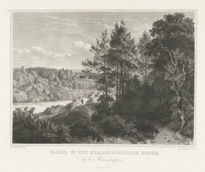 Vue d