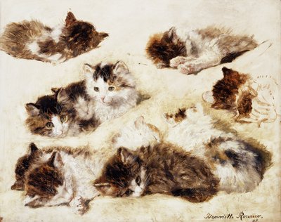Étude de chatons, 1898 - Henriëtte Ronner Knip
