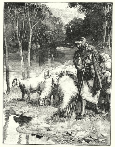 Un berger et son troupeau dans l