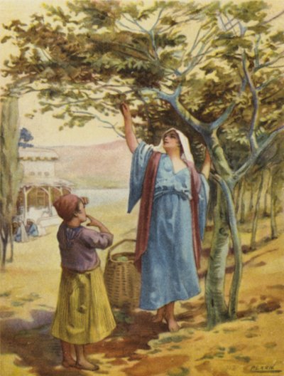 Récolte de figues - Henry Andrew Harper