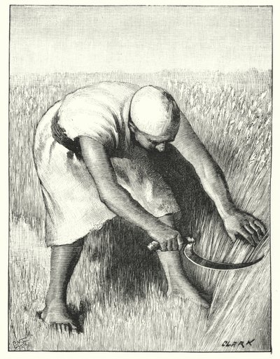 Moisson en Orient - Henry Andrew Harper