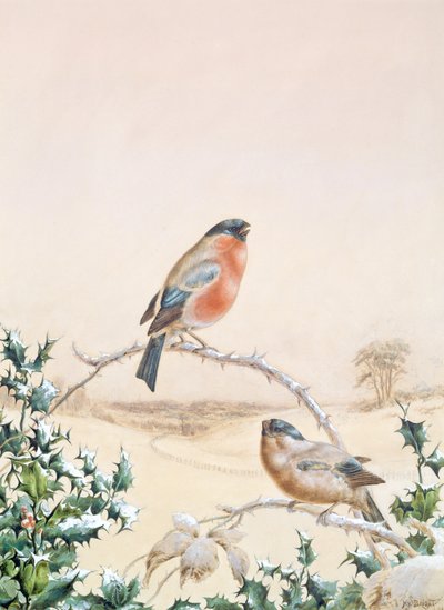 Scène d