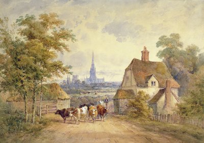 Cathédrale de Chichester, Sussex - Henry Earp