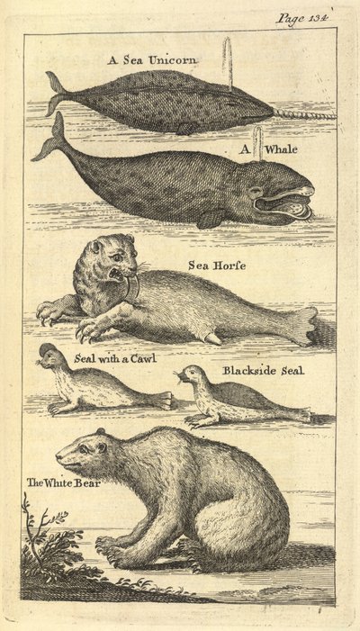 Plusieurs créatures, de 