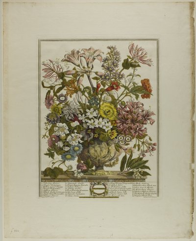 Octobre, des Douze Mois de Fleurs - Henry Fletcher