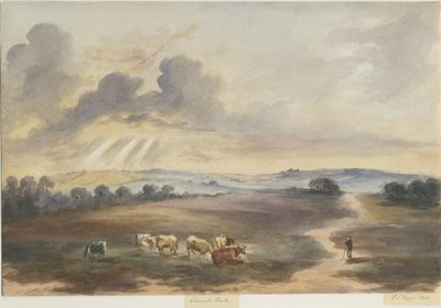 Cannock Chase - "Heath" : peinture à l