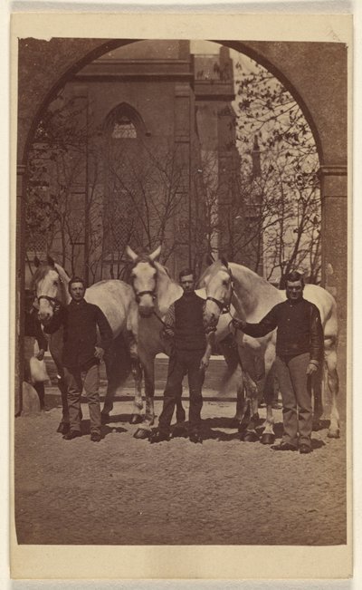 [Trois hommes posant avec trois chevaux blancs]. - Henry Pointer