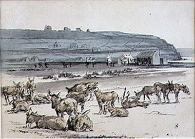 Ânes sur le parcours de golf, illustration du magazine 