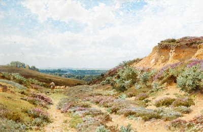 Bruyère sur une lande du Surrey - Henry Sutton Palmer