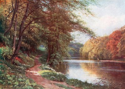 Sur la rivière Ayr, Ayrshire (lithographie couleur) - Henry Sutton Palmer