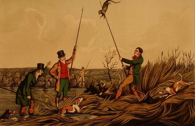 `Harponnage de la loutre