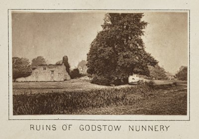 Ruines du couvent de Godstow - Henry W. Taunt