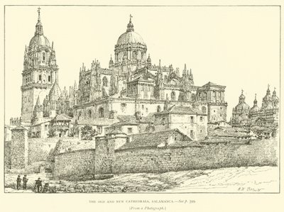 Les anciennes et nouvelles cathédrales, Salamanque - Henry William Brewer