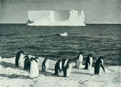 Un iceberg dérivant dans le détroit de McMurdo - Herbert Ponting