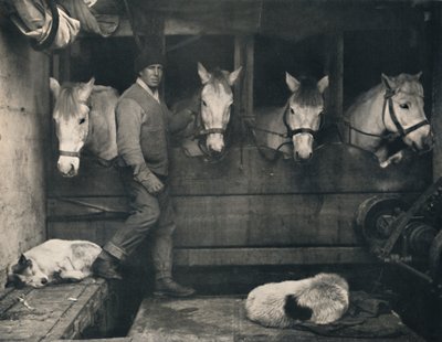 Capitaine Oates sur le Terra Nova avec les poneys sibériens - Herbert Ponting