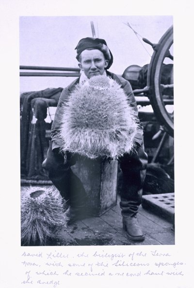 David Lille, biologiste de la 