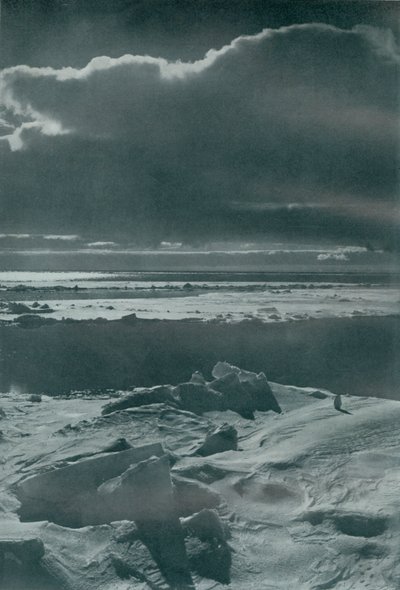 Scène du soir dans le parc, vers 1910-1913, 1913 - Herbert Ponting