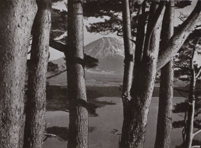 Fuji à travers les pins (photo n/b) - Herbert Ponting