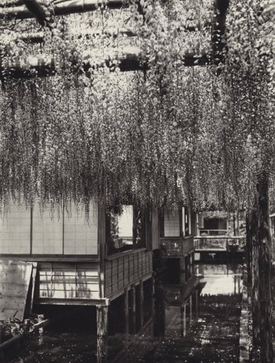 Japon dans les années 1920 : Tokyo, Kameido - Herbert Ponting