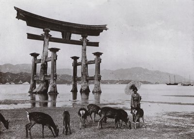 Le vieux Torii à Miyajima - Herbert Ponting