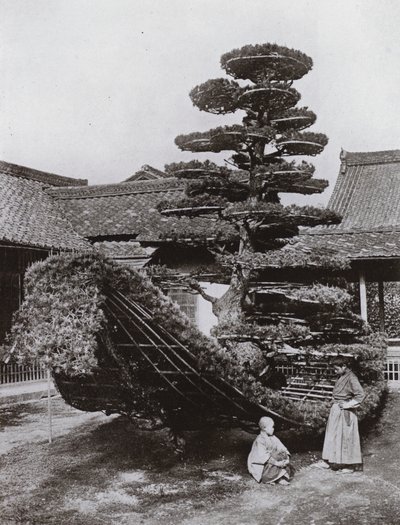 Le bateau en pin au Kinkakuji - Herbert Ponting