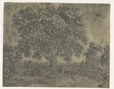 Le Grand Arbre - Hercules Segers