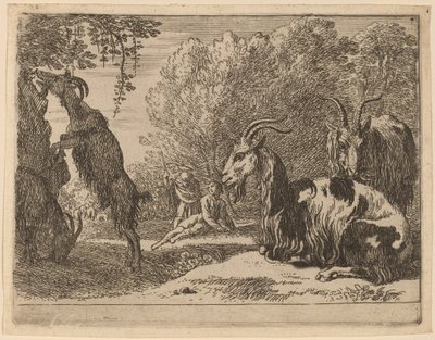 Chèvres - Herman van Swanevelt