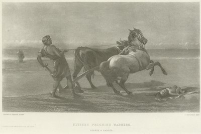 Ulysse feignant la folie (gravure) - Heywood Hardy