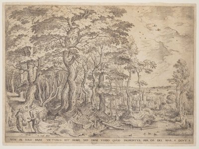 Paysage avec le Christ - Hieronymus Cock