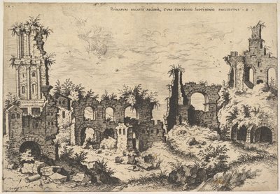 Vue des ruines sur la colline du Palatin avec façade à architrave à gauche et arcades au centre - Hieronymus Cock