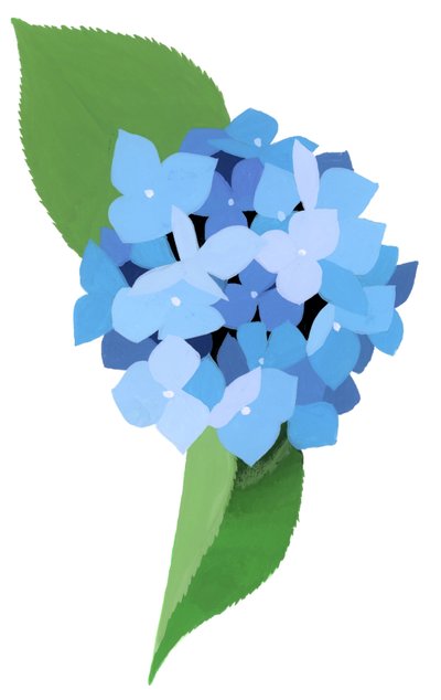 Hortensia - Hiroyuki Izutsu
